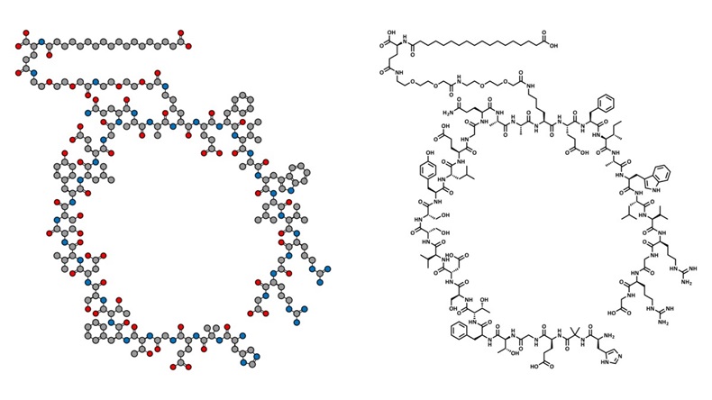 Semaglutide Molecule
